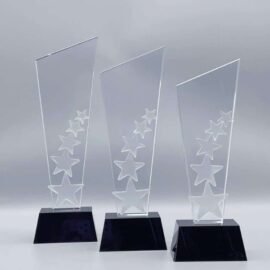 Crystal Trophy with Wooden base