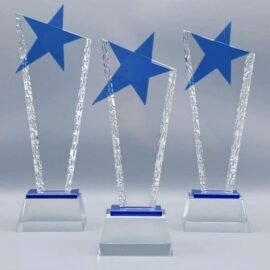 Custom Crystal Recognition Awards for Achievers